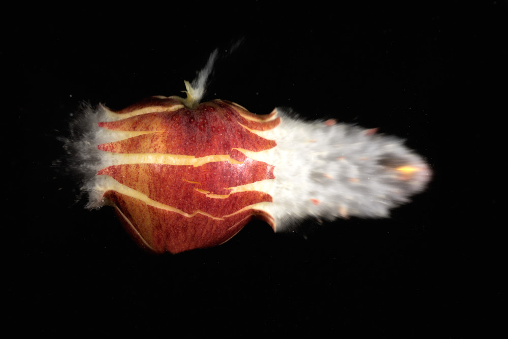 3. Platz Stefan Klughammer